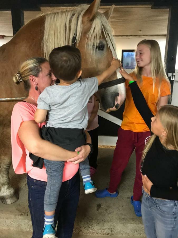 Vallby Farm Camp Örebro Kültér fotó